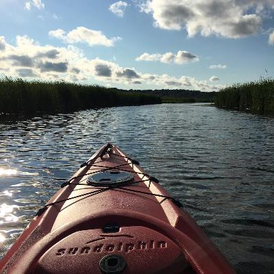 Kayak on the Grand River